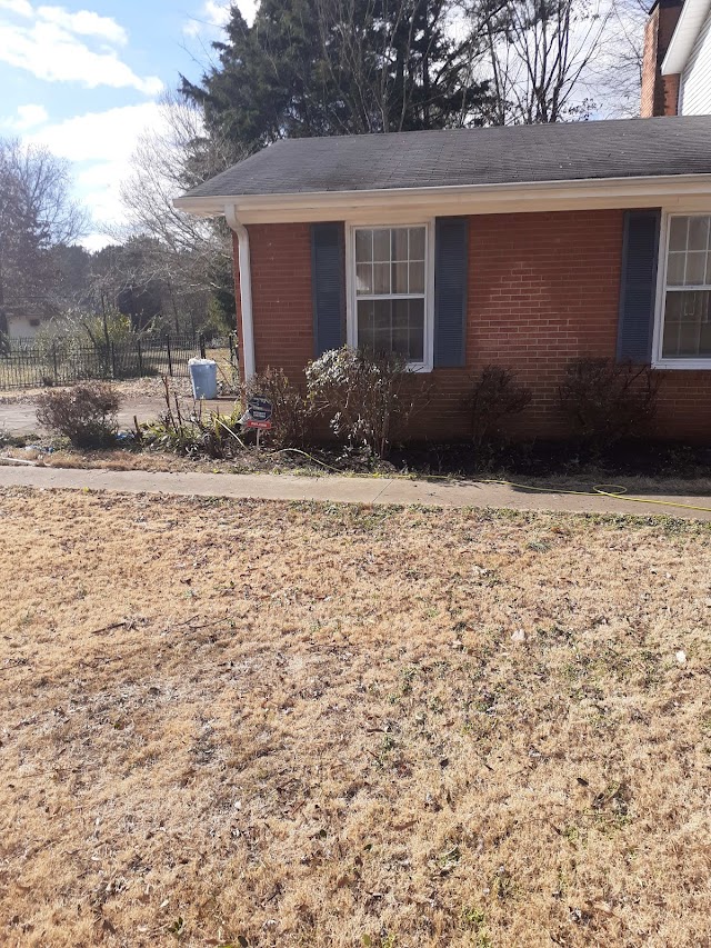 Pro Clean Services photo 4