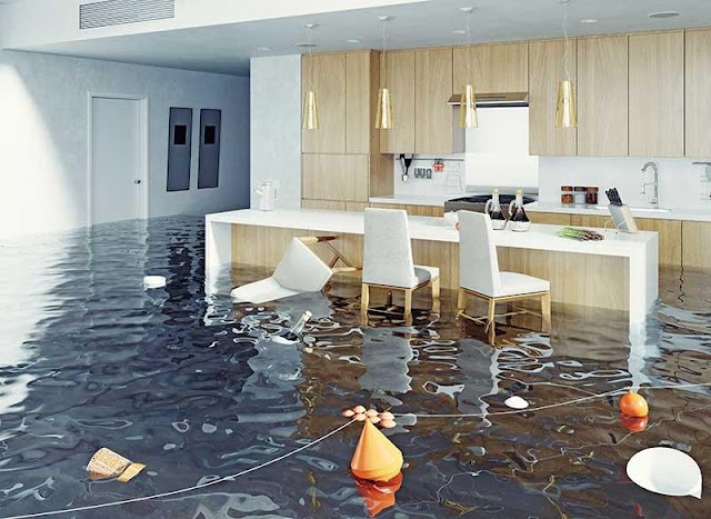 ProClean Services