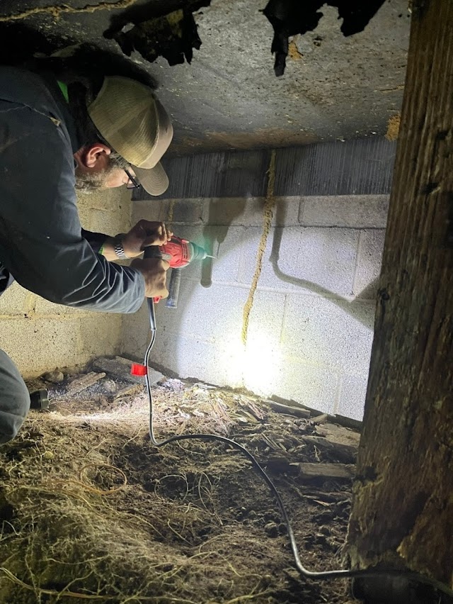 ProGuard Pest Services photo 2