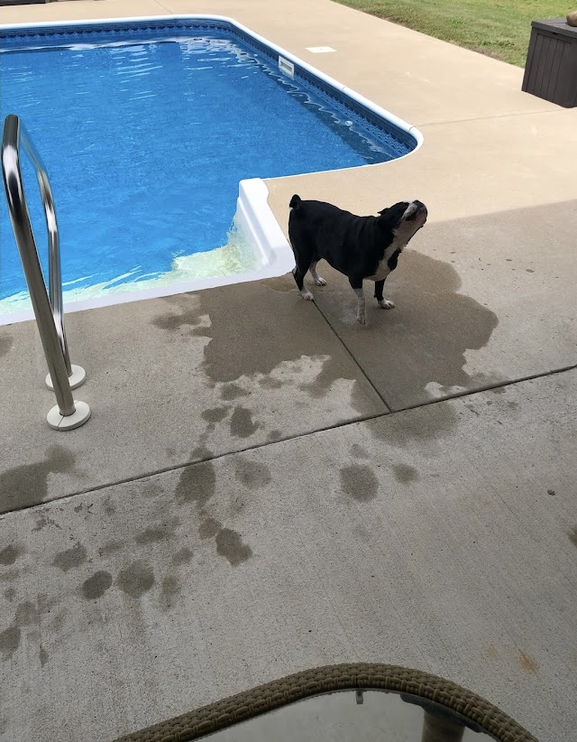 Quad Cities Exterior Cleaning and Pressure Washing LLC photo 2