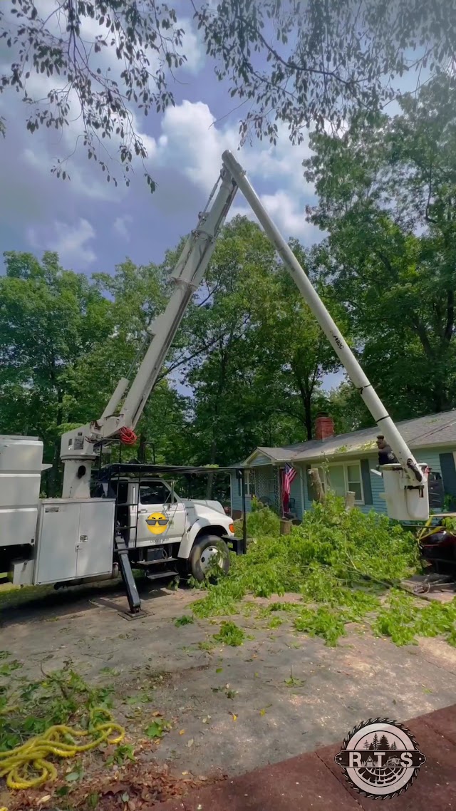 Ramirez's Tree Service photo 3