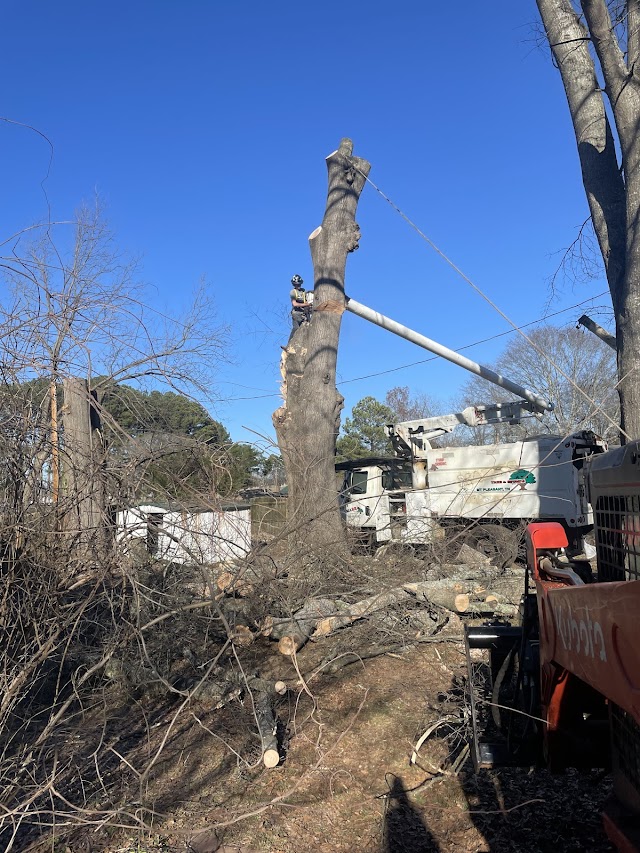 Robbins Exterior Cleaning, LLC photo 4