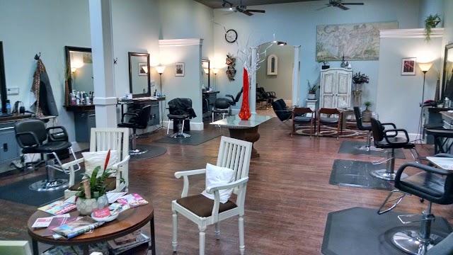 Salon Envi photo 3