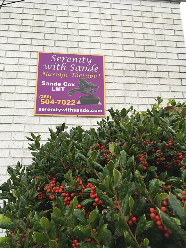 Serenity With Sande Massage Therapy photo 2