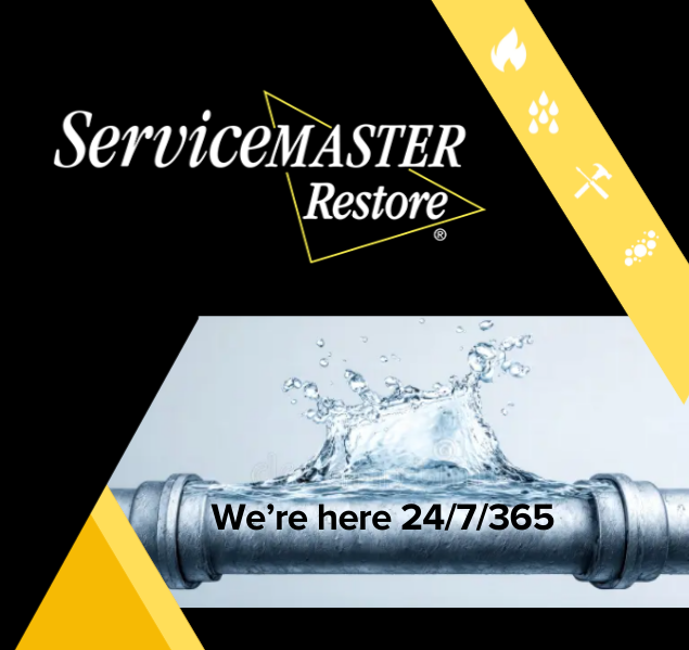 ServiceMaster Restoration by SMP2 photo 4