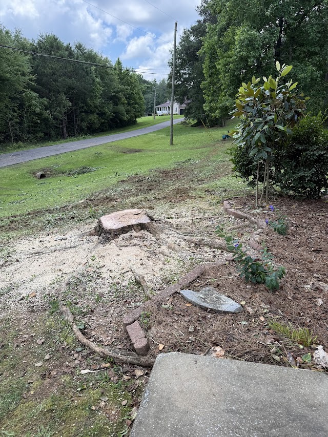 Silverleaf Tree Service photo 2