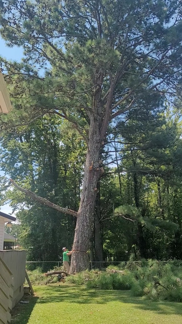 Silverleaf Tree Service photo 3
