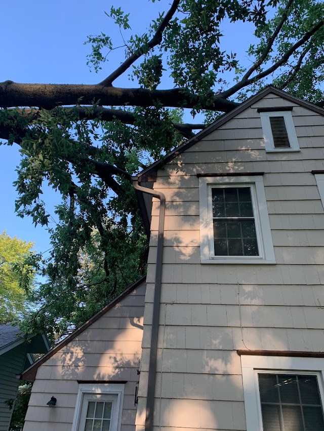 Sky's The Limit Tree Service, Inc. photo 4