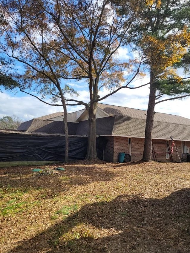 Skyline Tree Service photo 2