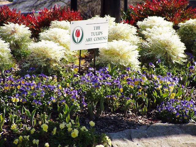 Sloan's Landscape Service photo 2