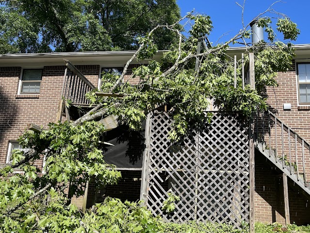 Southern Cutts Tree Service.