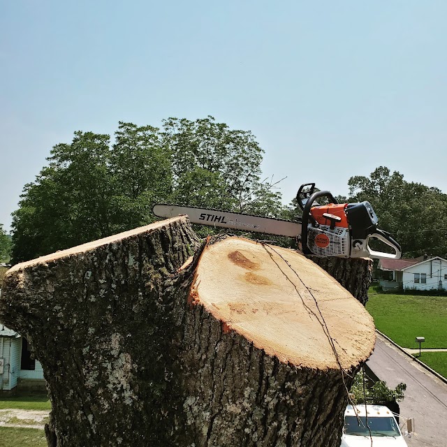 Southern Cutts Tree Service. photo 2
