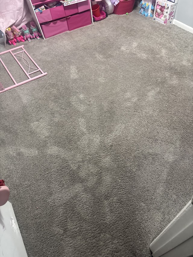 Steampro Carpet & Upholstery Cleaning LLC photo 2