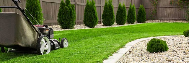 T&T Lawn Maintenance, LLC