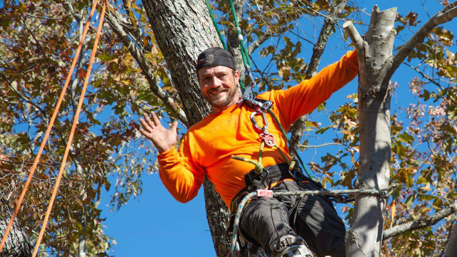 The Arborist