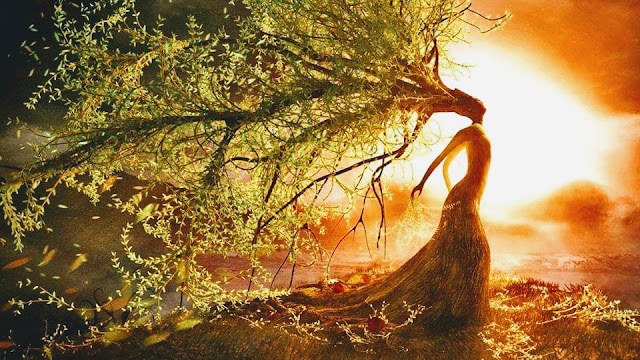 The Healing Tree of Gadsden LLC photo 2