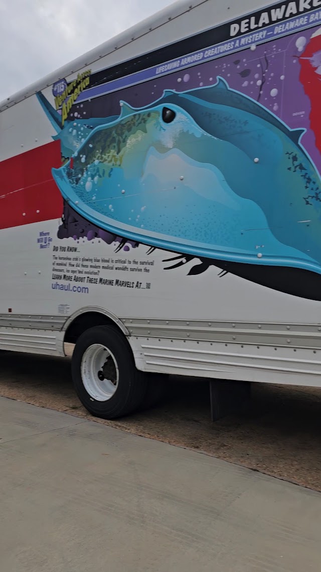 The Moving Guys Alabama . Proudly Serving Enterprise / Dothan Alabama . All Parts of Alabama / Florida / Georgia photo 3