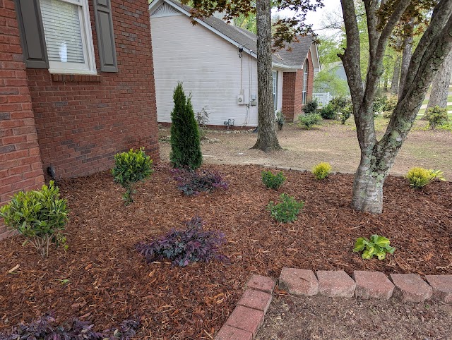The Southern Landscape Firm