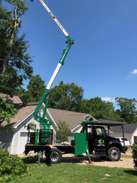Tree People Tree Service photo 2