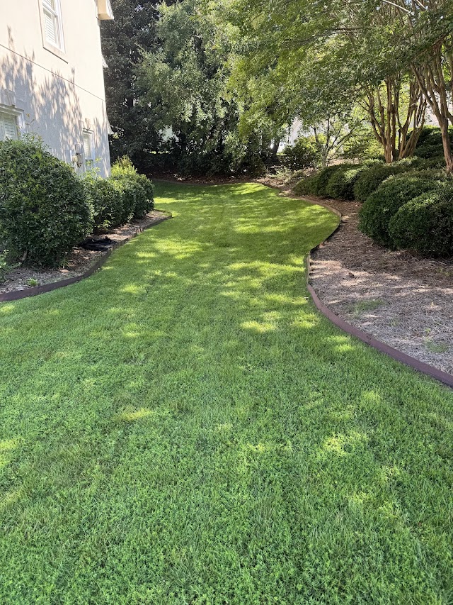 TrueSouth Lawn & Wash, LLC photo 4