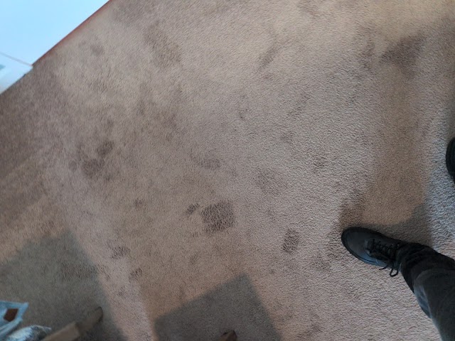 USA Clean Master photo 2
