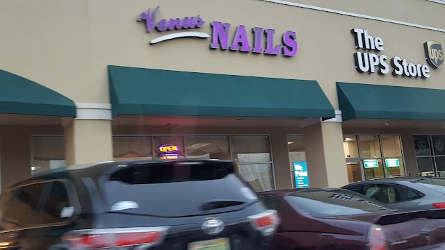 Venus Nails photo 4