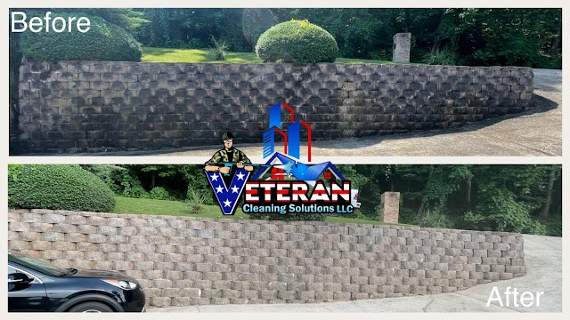 Veteran Cleaning Solutions LLC photo 2