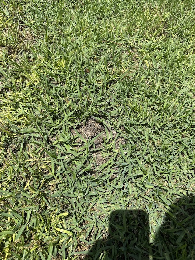 Weed Man Lawn Care photo 2