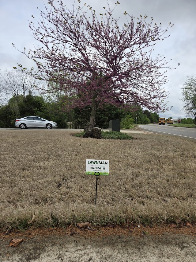 Weed Man Lawn Care photo 4