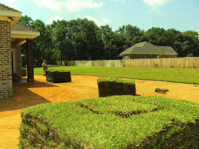 WORLD OF SERVICE