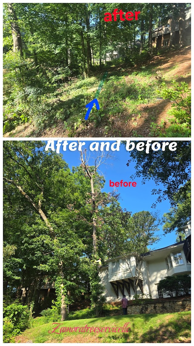 Zamora Tree Service LLC