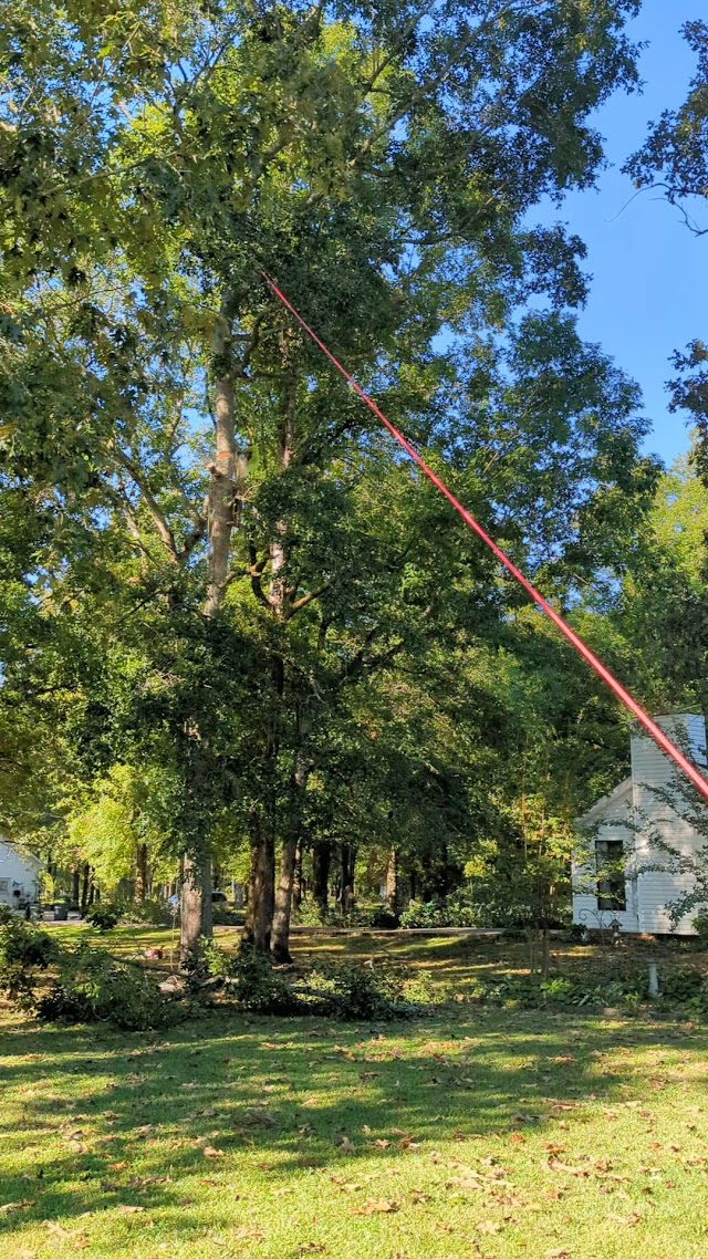 Zamora Tree Service LLC photo 4